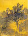 maio1.jpg (70643 byte)