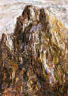 Bord 05.jpg (200205 byte)