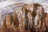 Bord 09.jpg (175636 byte)