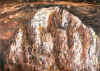 Bord 10.jpg (202987 byte)