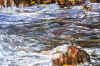 Bord 14.jpg (172589 byte)