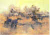 maio9.jpg (63239 byte)