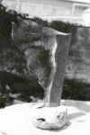 orl05.jpg (100297 byte)